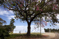 igreja são francisco de assis - pampulha oscar niemeyer