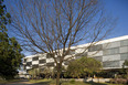 pavilhão bienal sp - parque ibirapuera oscar niemeyer