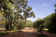 parque do ibirapuera oscar niemeyer