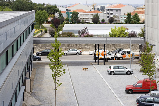 centro regional de sangue arx portugal