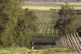 morandé winery martin hurtado