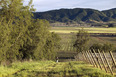 morandé winery martin hurtado