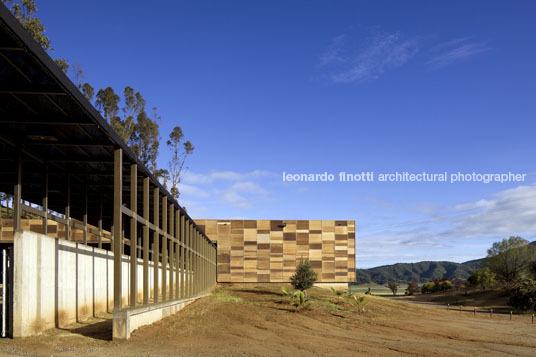 morandé winery martin hurtado