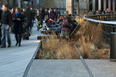 the high line diller scofidio+renfro