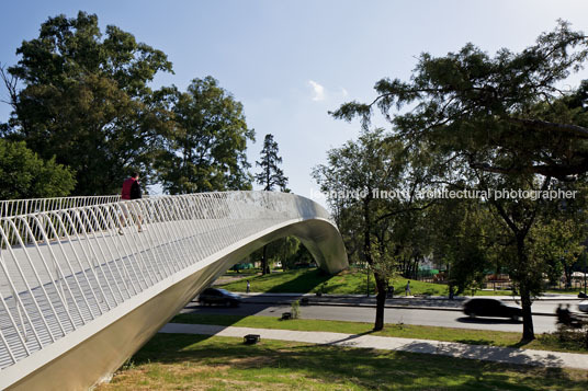 bridge of the children lucio morini