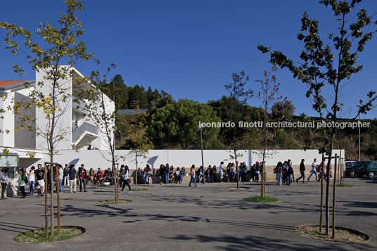 escola rodrigues lobo inês lobo