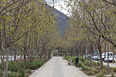 bicentenario park teodoro fernández 