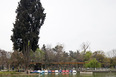 quinta normal park teodoro fernández 