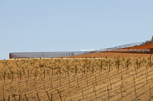 cantina antinori archea