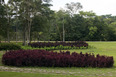 parque da cidade roberto burle marx burle marx