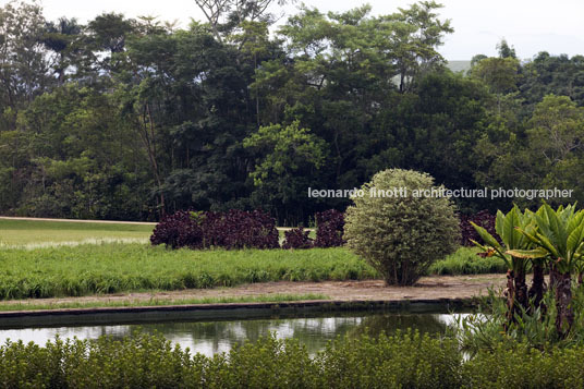 parque da cidade roberto burle marx burle marx