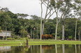 parque da cidade roberto burle marx burle marx