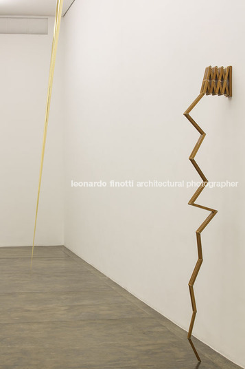 nara roesler gallery gui mattos