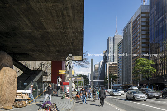 x bienal masp guilherme wisnik