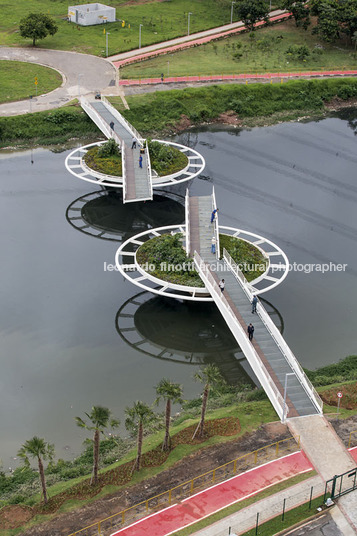 bayer bridge loeb capote