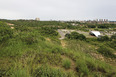 parque da cidade oscar niemeyer