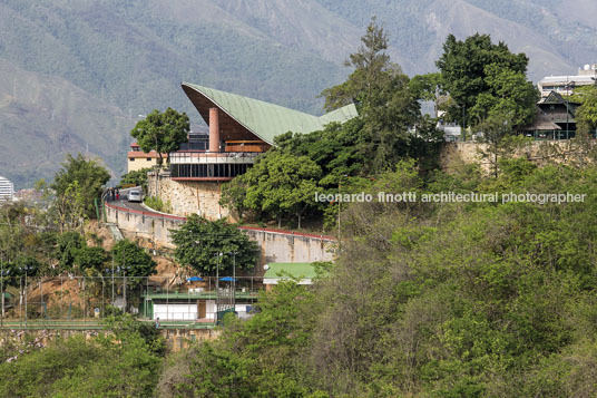 club táchira fruto vivas