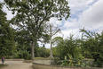 parque del este burle marx