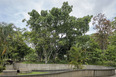 parque del este burle marx