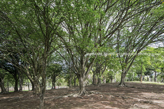 parque del este burle marx