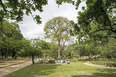 parque del este burle marx