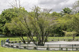 parque del este burle marx