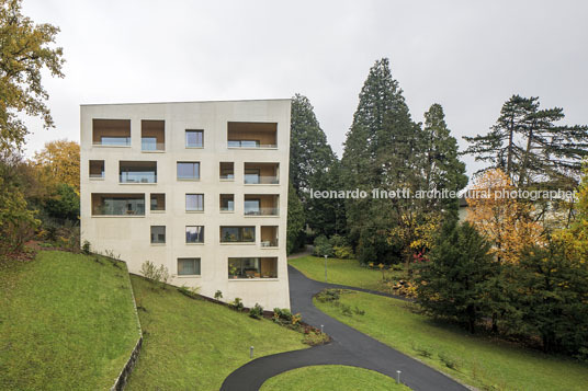 housing at wettsteinpark masswerk architekten