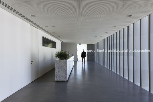 instituto ling isay weinfeld