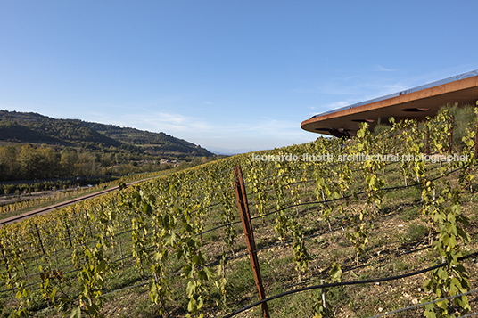 cantina antinori archea