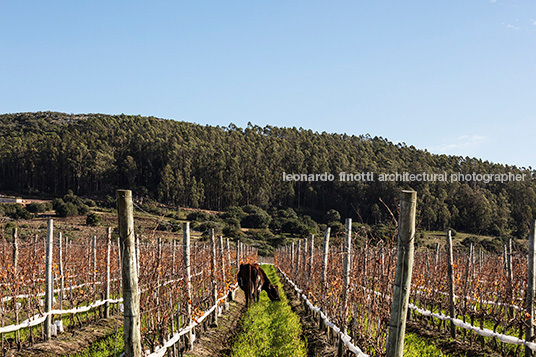 viña edén winery fábrica de paisaje