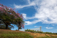 igreja são francisco de assis - pampulha oscar niemeyer