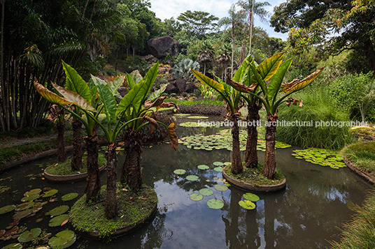 sítio roberto burle marx burle marx