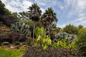 sítio roberto burle marx