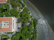 jardim do palácio do campo das princesas