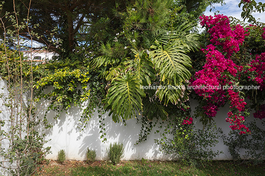 casa oeiras pedro domingos