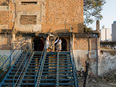 teatro oficina Lina Bo Bardi