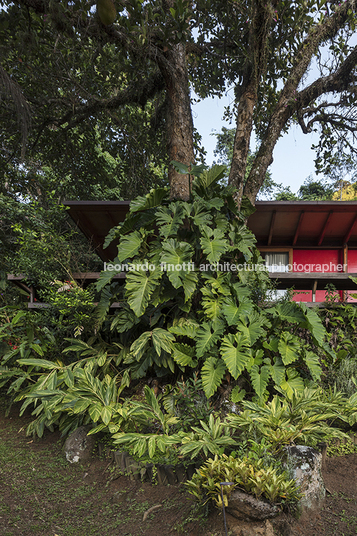 mamanguá bernardes arquitetura