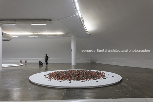 ai weiwei: raiz - oca marcello dantas