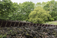 parc de pedra tosca rcr arquitectes