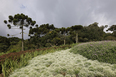 mátria parque de flores ja8 arquitetura e paisagem