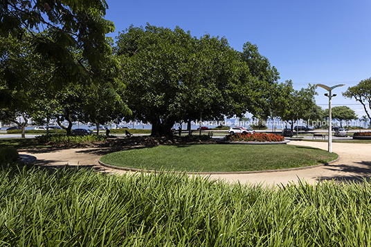 praça celso ramos ja8 arquitetura e paisagem