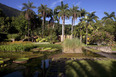 fazenda vargem grande burle marx