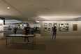 exposição brasília: a arte do planalto - museu nacional da república paulo herkenhoff